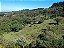 Sitio de 1 hectare Estr. Geral do Morro Agudo pda 79 RS020 Gravataí - Imagem 7
