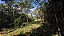 Sitio Estrada Dionísio Cardoso de Lima Boa Localização 2 Hectares - Imagem 7