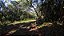 Sitio Estrada Dionísio Cardoso de Lima Boa Localização 2 Hectares - Imagem 6