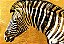 Quadro Decorativo Artístico 0503 - Imagem 1