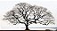 Quadro Decorativo Árvores 0690 - Imagem 1