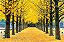 Quadro Decorativo Árvores 0693 - Imagem 1