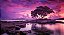 Quadro Decorativo Árvores 0726 - Imagem 1