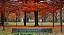 Quadro Decorativo Árvores 0728 - Imagem 1
