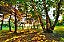 Quadro Decorativo Árvores 0780 - Imagem 1