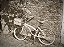 Quadro Decorativo Bicicletas 0849 - Imagem 1