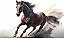 Quadro Decorativo Cavalos 1132 - Imagem 1
