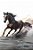 Quadro Decorativo Cavalos 1133 - Imagem 1