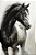 Quadro Decorativo Cavalos 1134 - Imagem 1