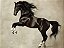 Quadro Decorativo Cavalos 1145 - Imagem 1