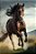 Quadro Decorativo Cavalos 1153 - Imagem 1