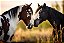 Quadro Decorativo Cavalos 1170 - Imagem 1