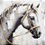 Quadro Decorativo Cavalos 1182 - Imagem 1