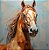 Quadro Decorativo Cavalos 1207 - Imagem 1