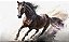 Quadro Decorativo Cavalos 1222 - Imagem 1