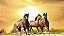 Quadro Decorativo Cavalos 1240 - Imagem 1