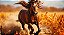 Quadro Decorativo Cavalos 1244 - Imagem 1