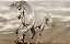 Quadro Decorativo Cavalos 1251 - Imagem 1