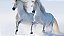 Quadro Decorativo Cavalos 1258 - Imagem 1