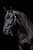 Quadro Decorativo Cavalos 1260 - Imagem 1