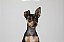 Quadro Decorativo Cães 1270 - Imagem 1