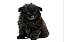 Quadro Decorativo Cães 1271 - Imagem 1