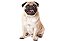 Quadro Decorativo Cães 1280 - Imagem 1