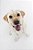 Quadro Decorativo Cães 1291 - Imagem 1