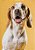Quadro Decorativo Cães 1298 - Imagem 1