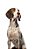 Quadro Decorativo Cães 1301 - Imagem 1