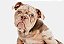 Quadro Decorativo Cães 1305 - Imagem 1