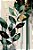 Quadro Decorativo Folhagens de Plantas 1441 - Imagem 1
