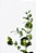Quadro Decorativo Folhagens de Plantas 1495 - Imagem 1