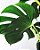 Quadro Decorativo Folhagens de Plantas 1526 - Imagem 1