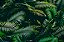 Quadro Decorativo Folhagens de Plantas 1630 - Imagem 1