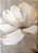 Quadro Decorativo Flores 1676 - Imagem 1
