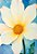 Quadro Decorativo Flores 1713 - Imagem 1