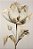 Quadro Decorativo Flores 1834 - Imagem 1
