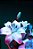 Quadro Decorativo Flores 1863 - Imagem 1