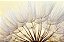 Quadro Decorativo Flores 1894 - Imagem 1