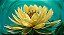 Quadro Decorativo Flores 1924 - Imagem 1