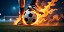 Quadro Decorativo Futebol 1968 - Imagem 1