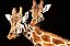 Quadro Decorativo Girafas 1981 - Imagem 1