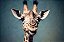 Quadro Decorativo Girafas 1985 - Imagem 1