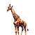 Quadro Decorativo Girafas 1999 - Imagem 1