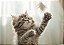 Quadro Decorativo Gatos 2068 - Imagem 1
