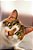 Quadro Decorativo Gatos 2091 - Imagem 1