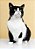 Quadro Decorativo Gatos 2112 - Imagem 1
