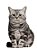 Quadro Decorativo Gatos 2133 - Imagem 1