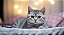 Quadro Decorativo Gatos 2146 - Imagem 1